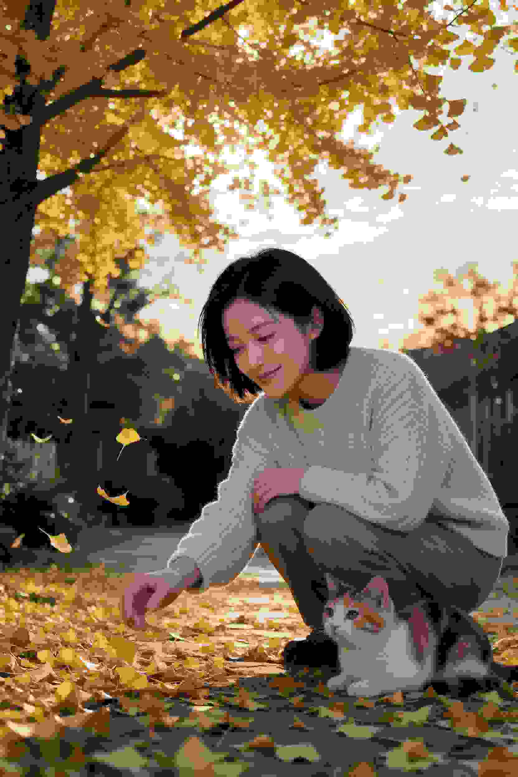 爱情短剧5